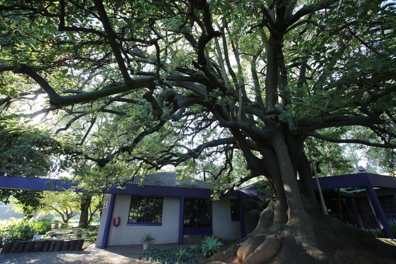 Big Tree Midrand Hotel Eksteriør billede